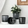 5.5 Inch Black Pots for Indoor Plants with Drainage Holes (3)