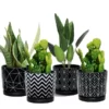 5.5 Inch Black Pots for Indoor Plants with Drainage Holes (3)