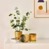 Gold electroplating Small Planter for Indoor Plants and Succulents