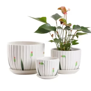 Ceramic Plant Containers