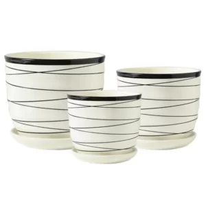 Ceramic Pots for cheap