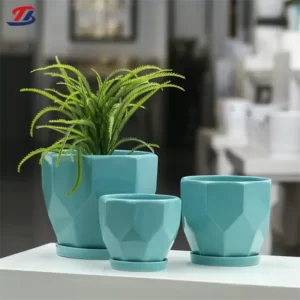 Indoor Ceramic Plant Pots