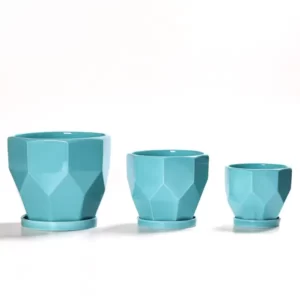 Indoor Ceramic Plant Pots