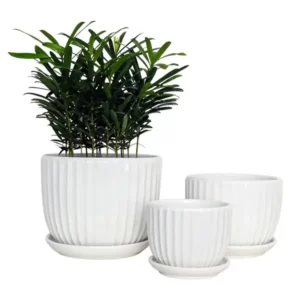 Indoor Ceramic Flower Pot Set