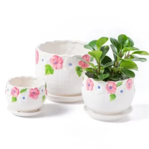 Potting Container Set of 3
