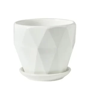 White Bulk Ceramic Flower Pots