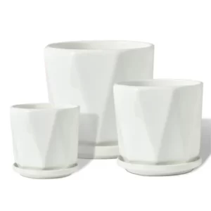 White Ceramic Planter Set