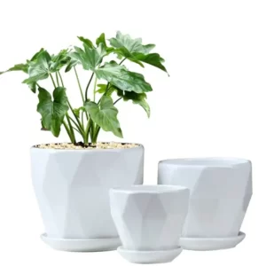 White Flower Pot set