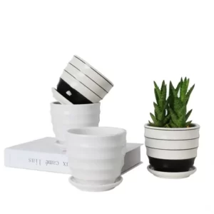 small caliber Planters