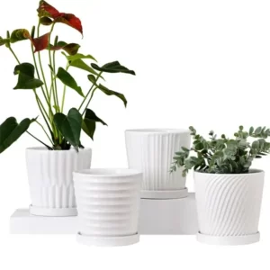 white ceramic flower pot