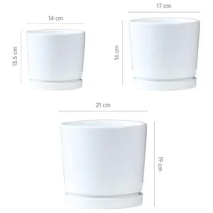 Белые керамические горшки для растений