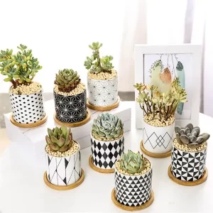4 inch mini succulent plant pots wholesaler supplier_2