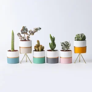 Chic Dual-Tone Planters with Metal Stands - Contemporary Indoor Succulent and Cacti Pots Collection