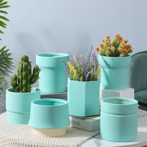 Eco-Friendly Matte Green Planter Set - Versatile & Modern Pots for Succulents and Cacti, IndoorOutdoor Use
