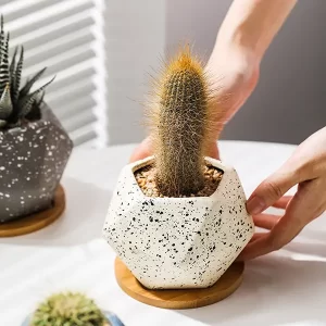 Modern Speckled Ceramic Succulent Pot Set 14cm - Perfect for HomeOffice Decor_4