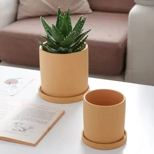 mini pots de plantes succulentes petits pots de fleurs en céramique grossiste