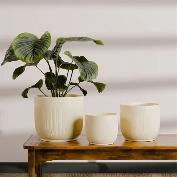 Textured Ribbed Ceramic Pot Ribbed Texture Light Elegant Ceramic Indoor Flower Pot