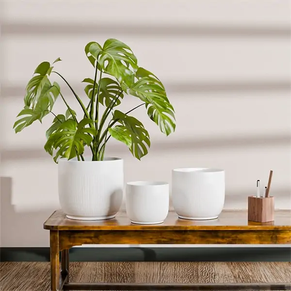 Textured Ribbed Ceramic Pot Ribbed Texture Light Elegant Ceramic Indoor Flower Pot