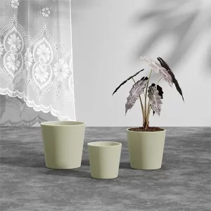 JW70025-Light green-1