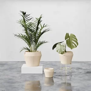 JW10268B-Lemon Tulle