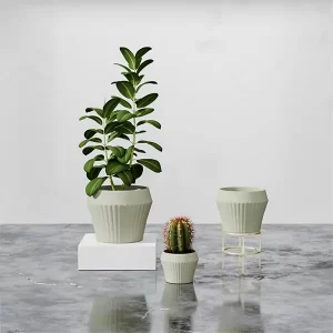 JW10268B-Light green