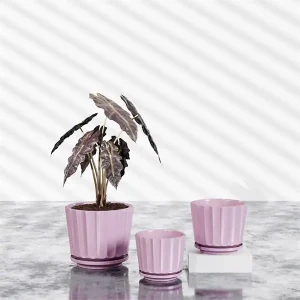 TX10117A-light purple-1