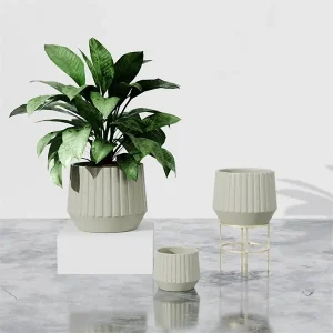 JW10269B-Light green-1