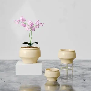 JW00991B-Lemon Tulle-1