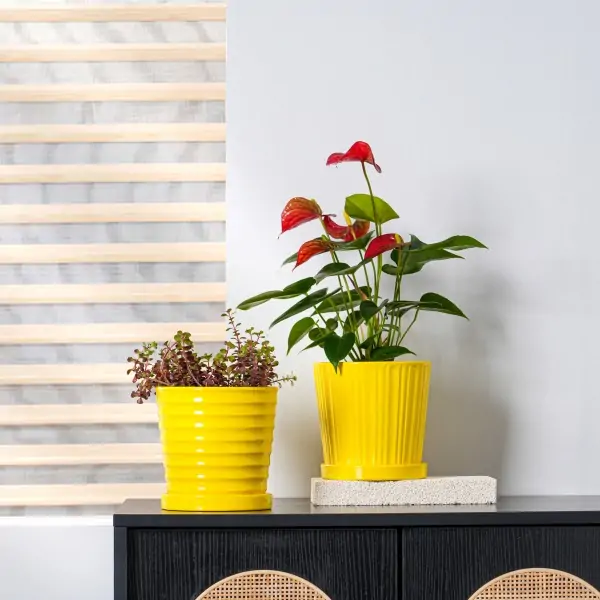 Pot De Fleurs Doré Décoratif - Petit Pot Chic 10 Cm, Pour Plantes Grasses, Intérieur, Balcon, Déco