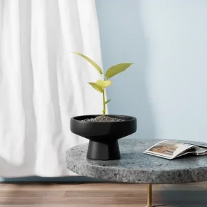 JW10980000.13Black-1