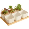 EcoNest White Ceramic Succulent Pots (3)
