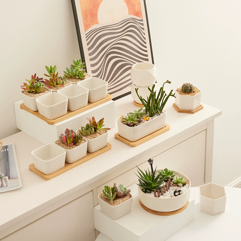 EcoNest White Ceramic Succulent Pots (4)