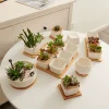 EcoNest White Ceramic Succulent Pots (6)