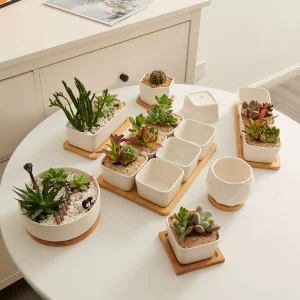 EcoNest White Ceramic Succulent Pots (6)