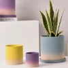 ColorFade Gradient Ceramic Pot Set