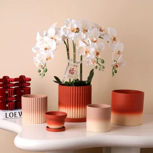 TerraGlow Gradient Ceramic Planters (3)