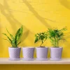 Modern Patterned Purple Glazed Ceramic Flower Pots (3)