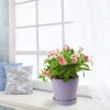 Modern Patterned Purple Glazed Ceramic Flower Pots (4)