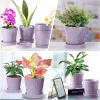 Modern Patterned Purple Glazed Ceramic Flower Pots (5)