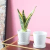 Modern Patterned White Glazed Ceramic Flower Pots