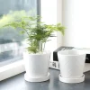 Modern Patterned White Glazed Ceramic Flower Pots (5)