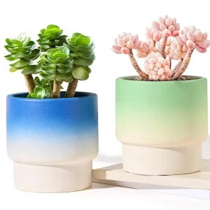 Decorative Gradient Glaze Ceramic Succulent Pots (1)