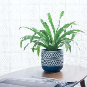 Embossed Blue Ceramic Planter Set (3)