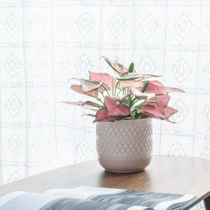 Embossed Pink Ceramic Flower Pots (5)