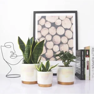 Iridescent-Gradient-Glaze-Ceramic-Planter-Pots-–-Wholesale-Modern-Style-_3_