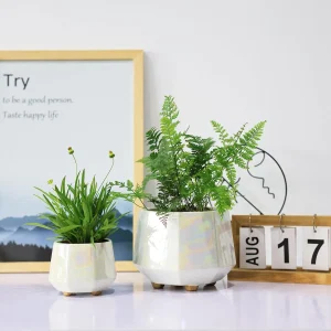 Iridescent White Ceramic Planter Set (2)