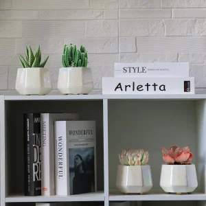 Iridescent White Ceramic Planter Set (3)