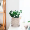 Modern Beige Textured Ceramic Flower Pot – Wholesale Patterned Indoor Planter with Drainage (2)