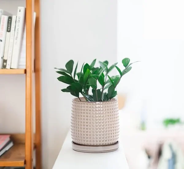 Modern Beige Textured Ceramic Flower Pot – Wholesale Patterned Indoor Planter with Drainage (2)