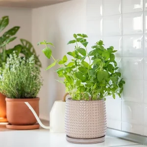 Modern Beige Textured Ceramic Flower Pot – Wholesale Patterned Indoor Planter with Drainage (4)